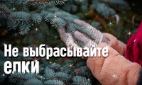 Не выкидывайте елки в мусор