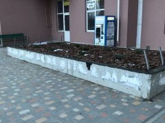 Скамейки, цветники